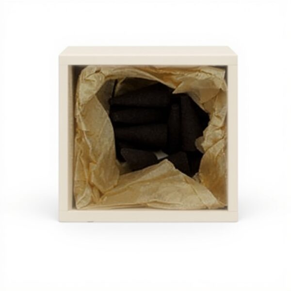 Incenso Nippon Kodo Kayuragi aloe 12 coni rilassamento