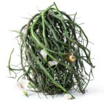 Immagine prodotto precedente