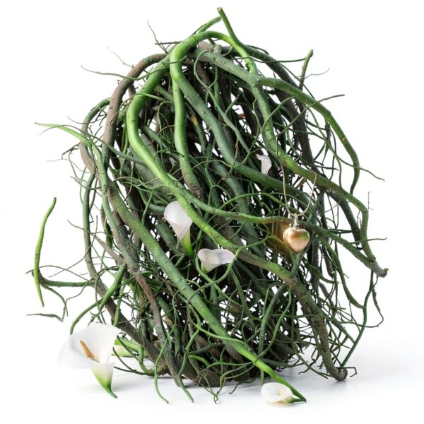 The Other Emily Thriller giudiziario suspense lettura