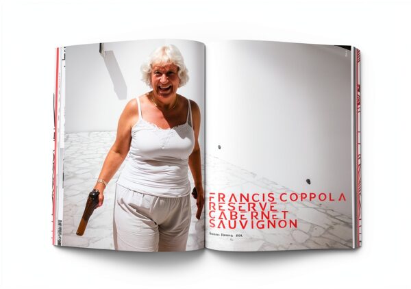 Bis Pub Branding Design Logo Libro Inglese 247 Pagine-4