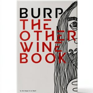 Bis Pub Branding Design Logo Libro Inglese 247 Pagine-0