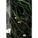 Immagine prodotto successivo