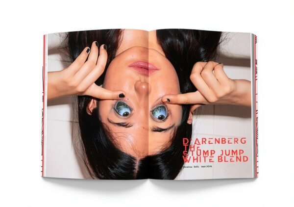 Bis Pub Branding Design Logo Libro Inglese 247 Pagine-1