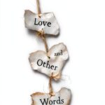 Hugo Roman libro francese 400 pagine narrativa contemporanea-0